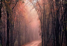 冷静应战，关键时刻的决策智慧