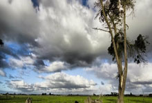 瑞典队遭遇葡萄牙队逆转失利