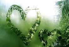 热火大获胜利！迈阿密球队实力出众