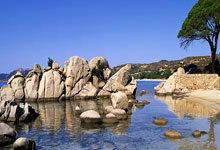 勇士再挫对手！金州队员全力以赴